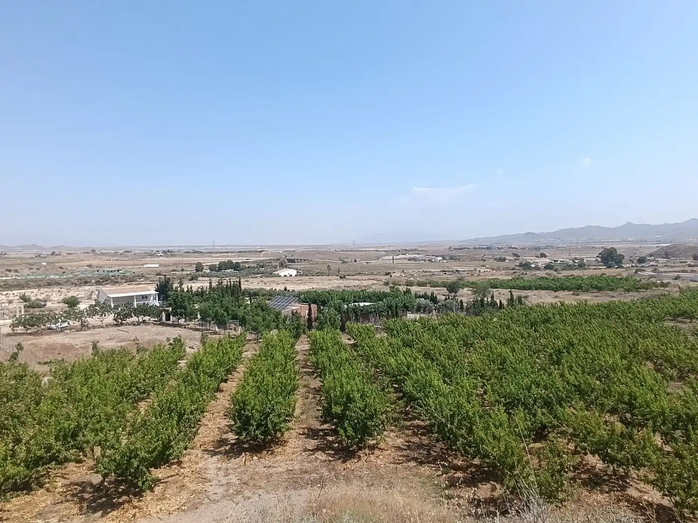 Land for sale in Mazarrón
