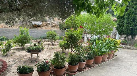 Photo 3 of House or chalet for sale in Joaquín Costa, Caspe, Zaragoza