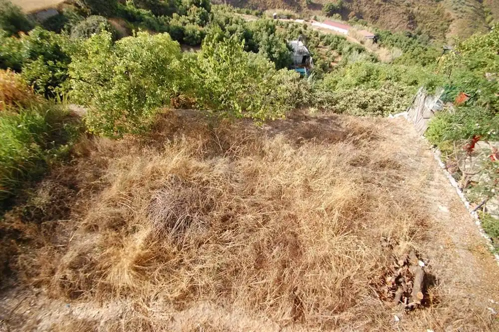 Terreno rustico in vendita a Salares
