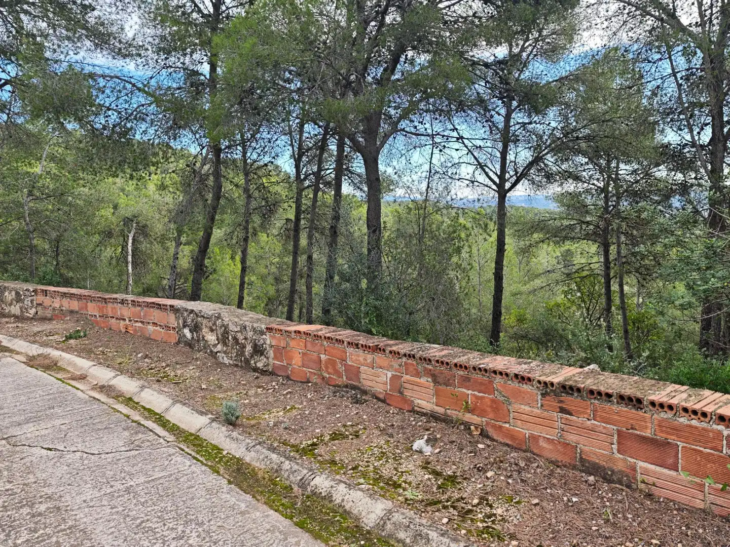 Terreno residencial en venta en Carretera del Remei, imagen 9