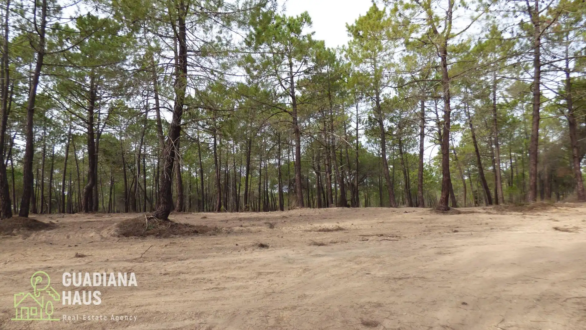 Finca rústica en venda en Villablanca amb Jardí privat i Traster