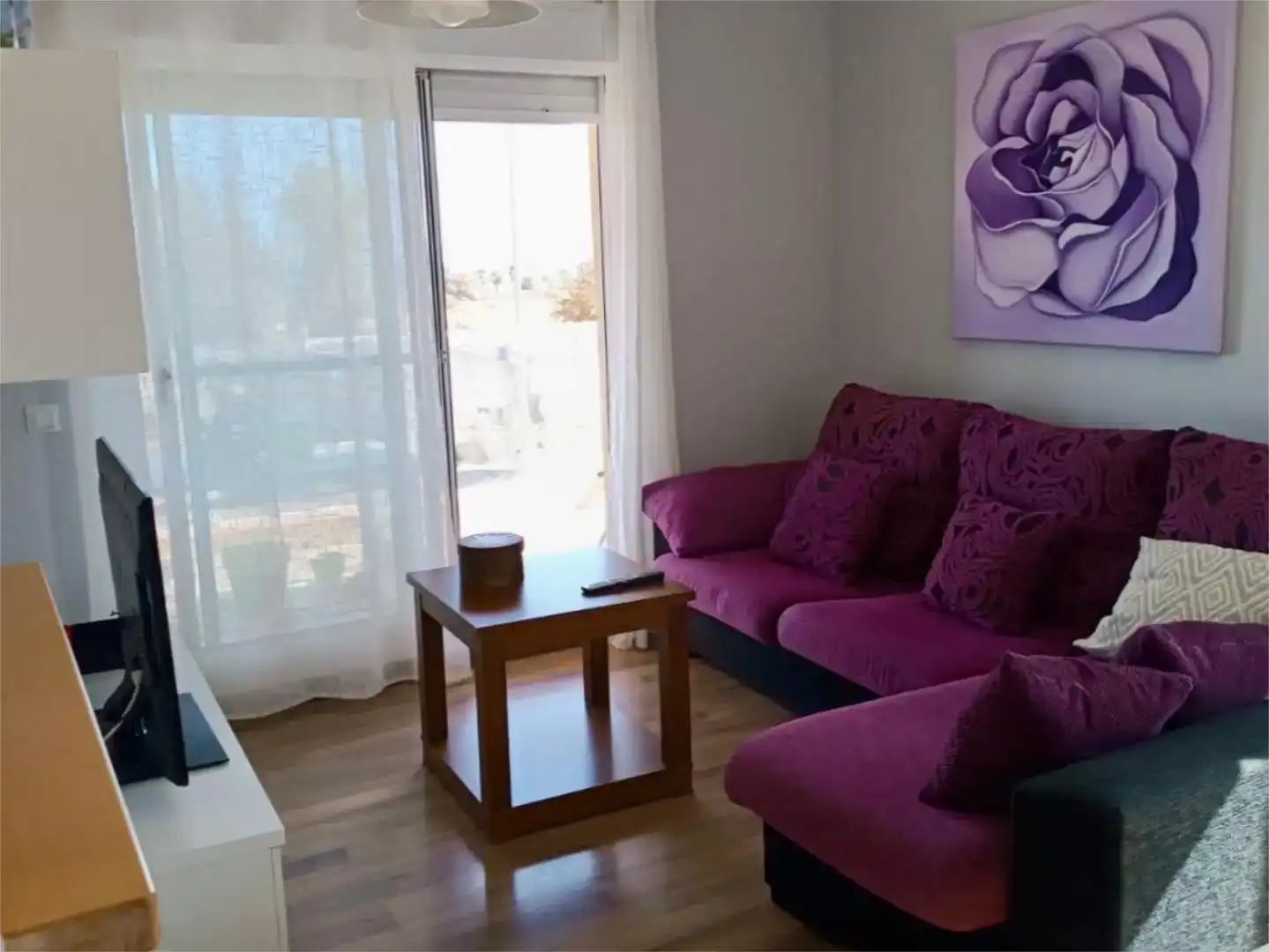 Sala d'estar de Pis de lloguer en El Ejido amb Jardí privat, Parquet i Traster