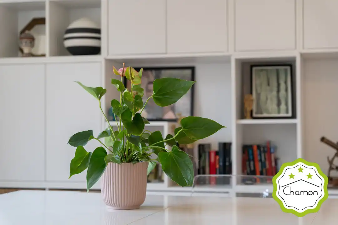 Appartement avec ascenseur à vendre à Bagatza - San Vicente, imagen 42