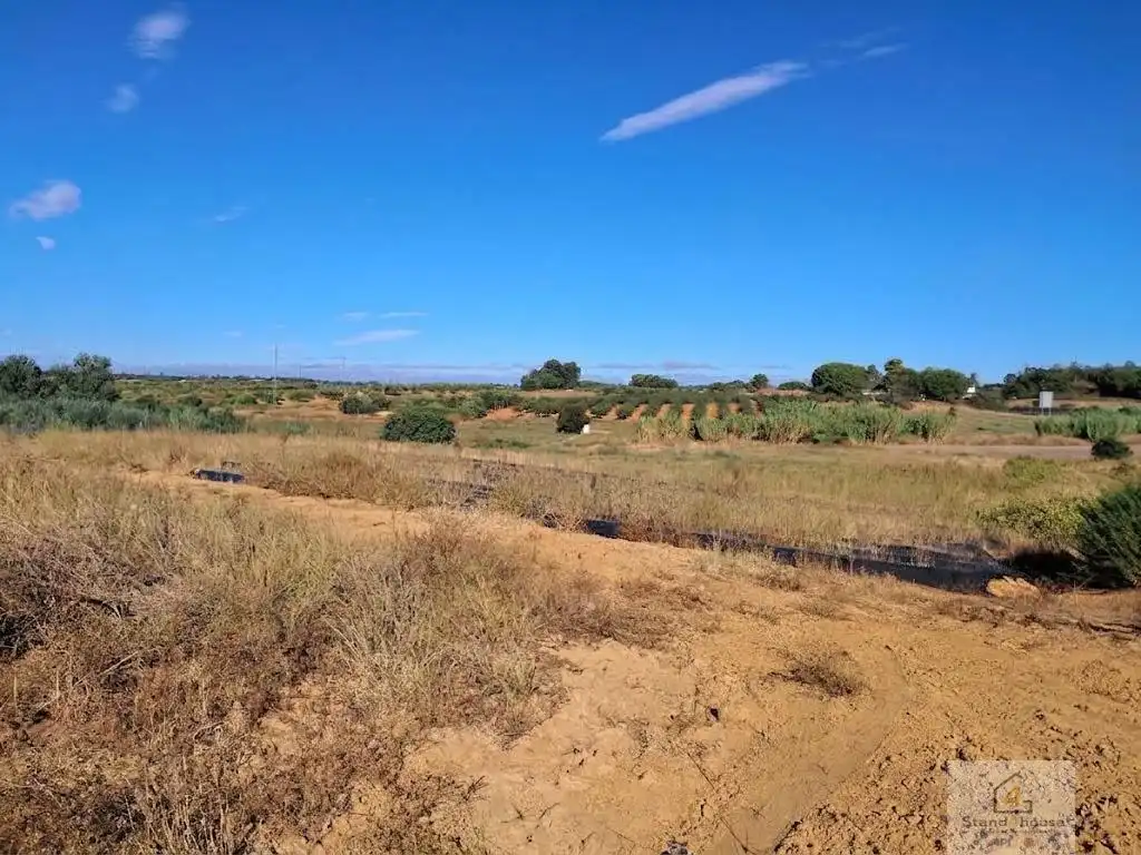 Terrenys i solars en venda a Bollullos Par del Condado, imagen 15