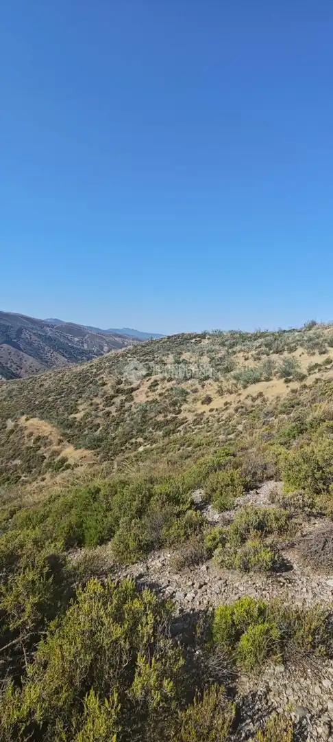 Rustikales Grundstück zum Verkauf in Pinos Genil, imagen 9