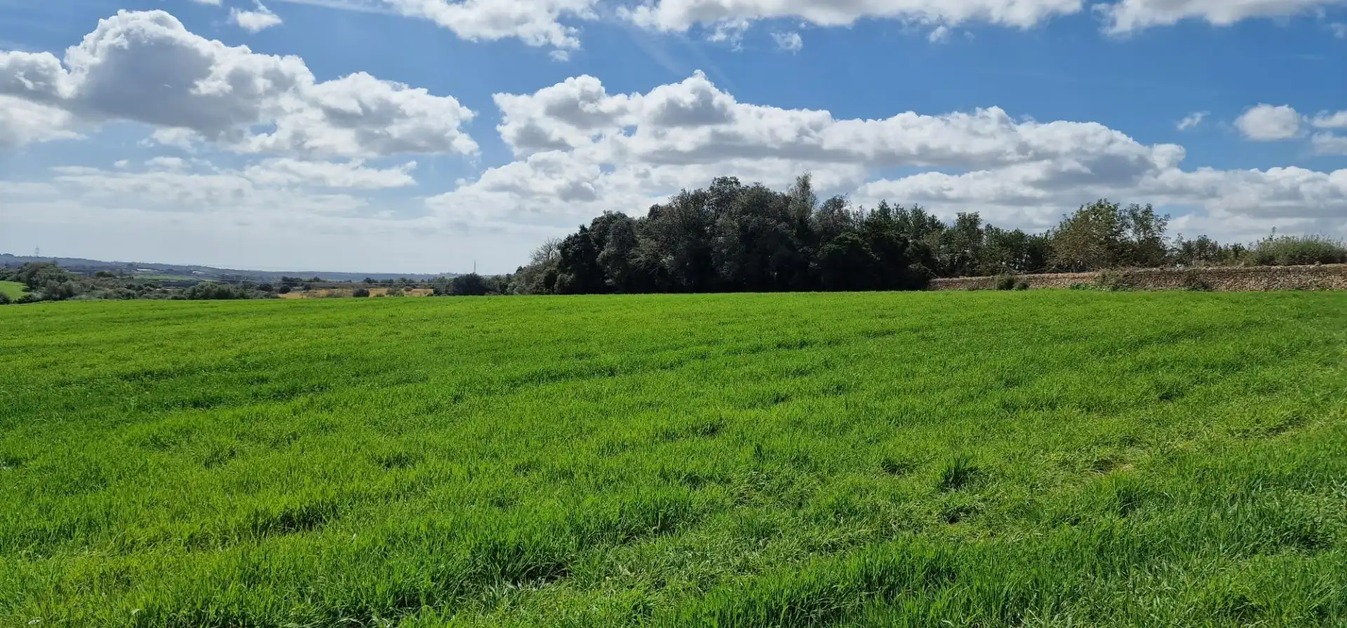 Country homes for sale in Manacor