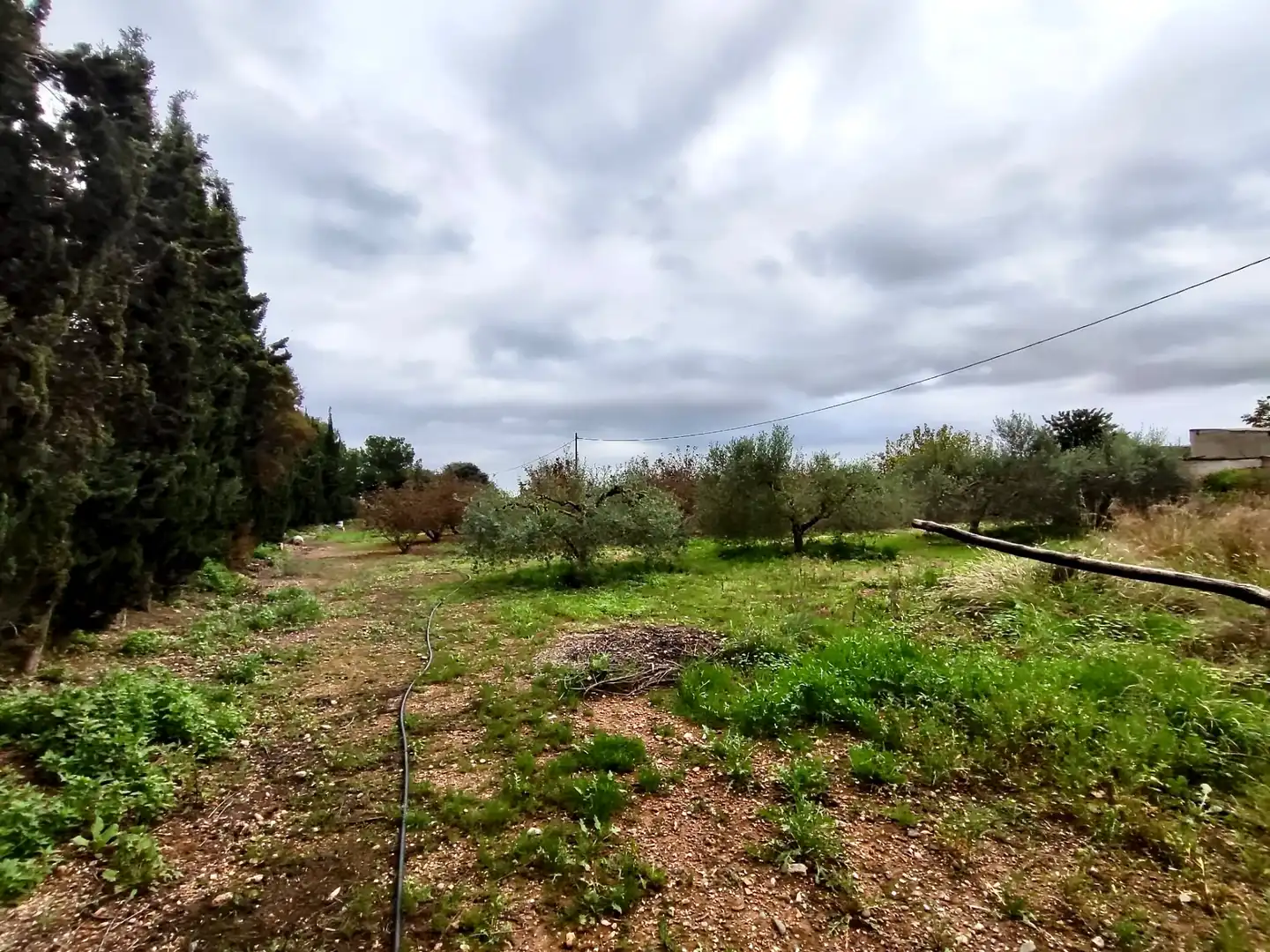 Land for sale in Vilallonga del Camp