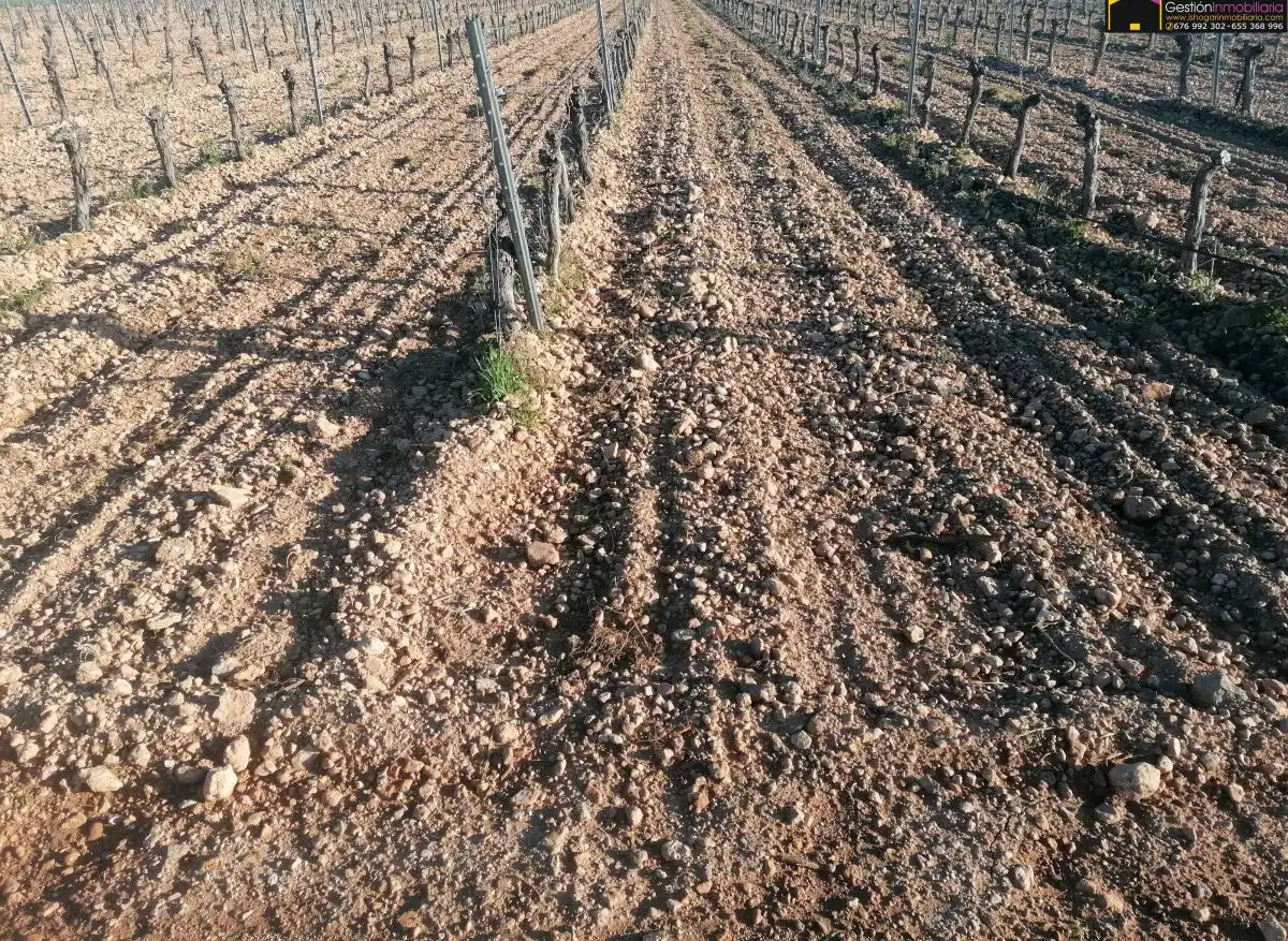 Casa rústica en venda a Valdepeñas, imagen 2