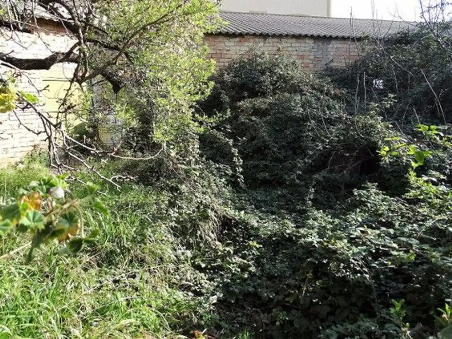 Immobili singolari in vendita a Moratalla, imagen 8