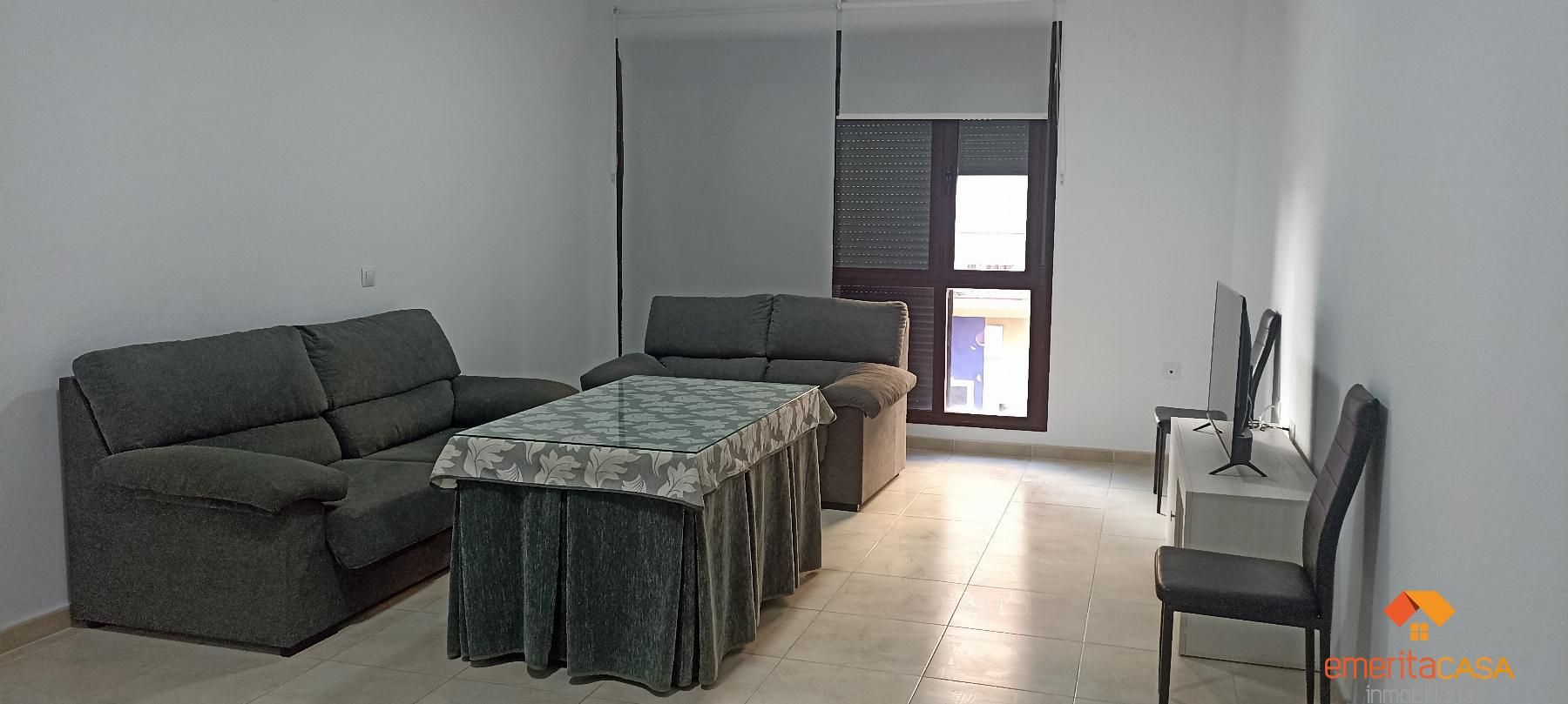 Sala d'estar de Apartament de lloguer en Almendralejo amb Traster