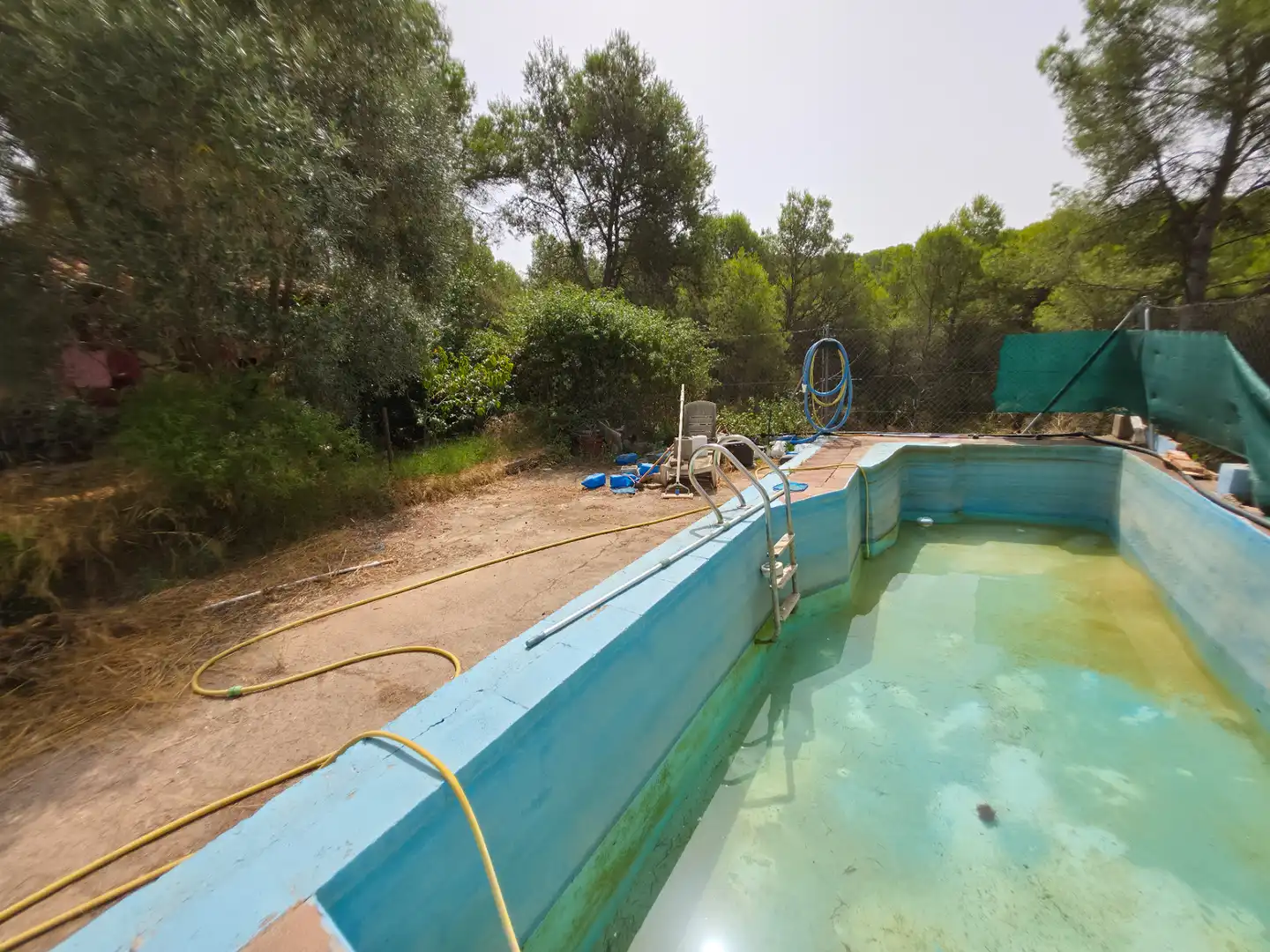 Piscina de Casa o chalet en venta en Sagunto / Sagunt con Jardín privado y Piscina