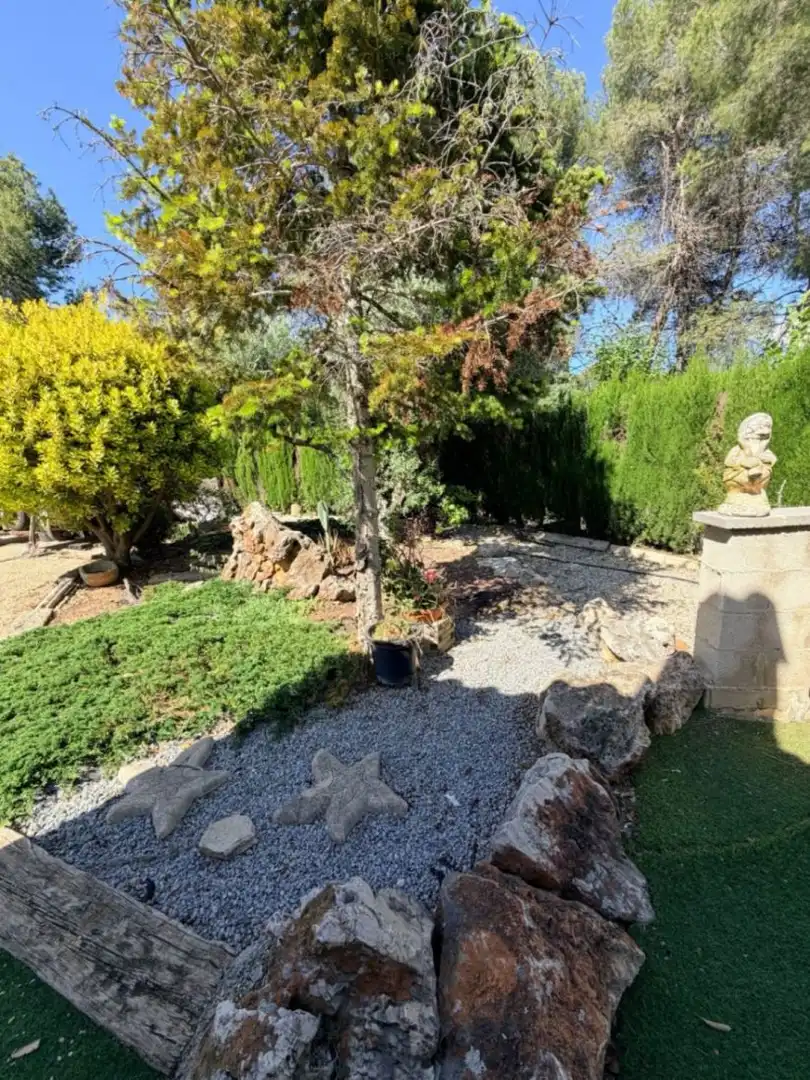 Villa mit Pool zum Verkauf in El Pilar, imagen 8