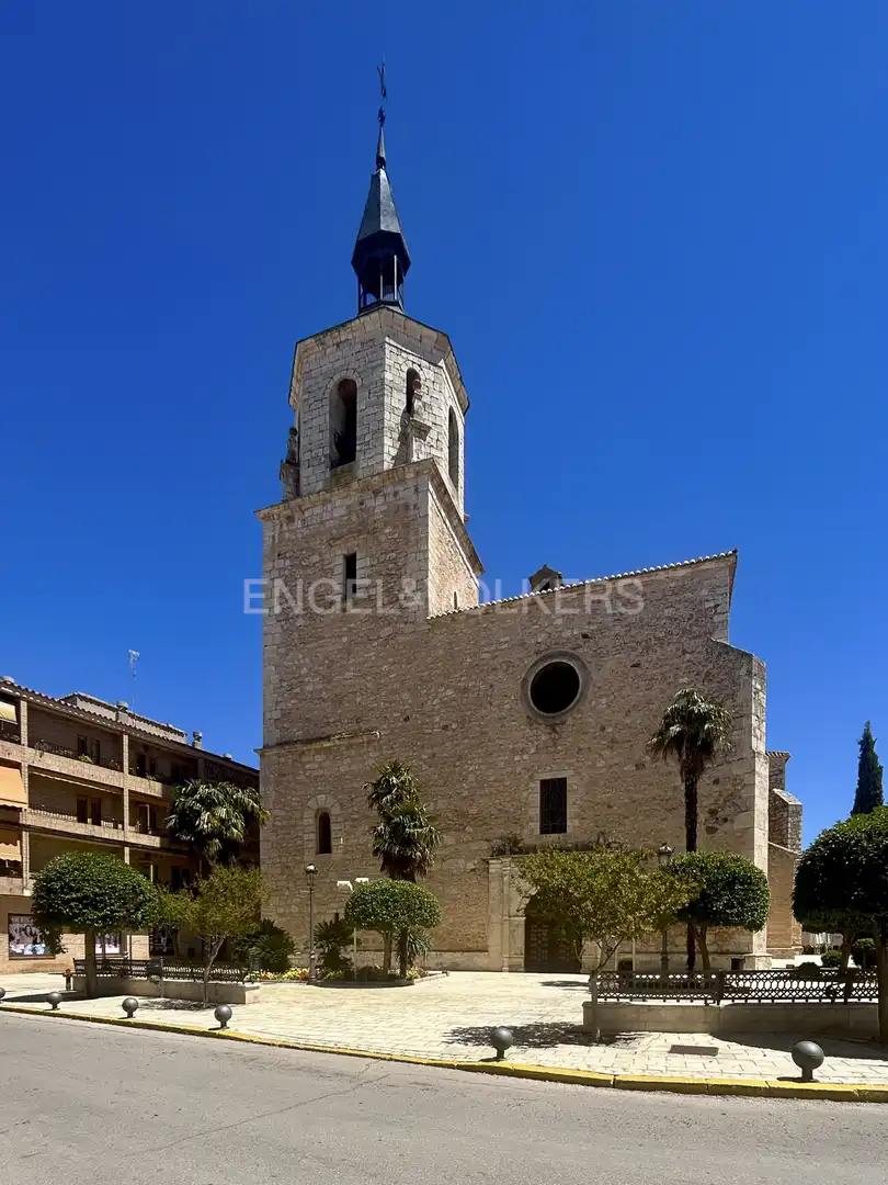 Vista exterior de Casa o chalet en venta en Daimiel con Aire acondicionado, Calefacción y Jardín privado