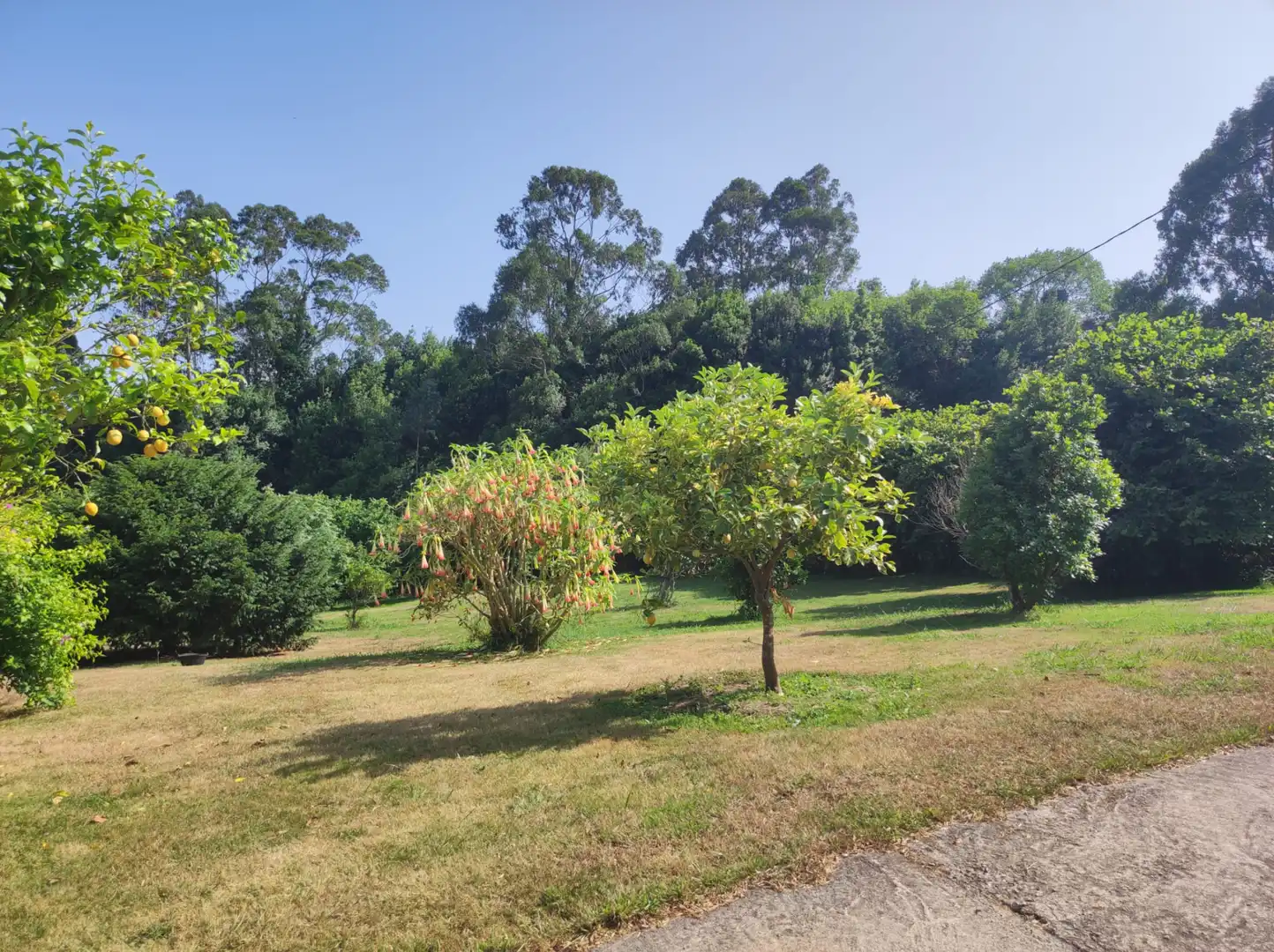 Chalet con jardín en venta en Carretera de la Granda, imagen 59