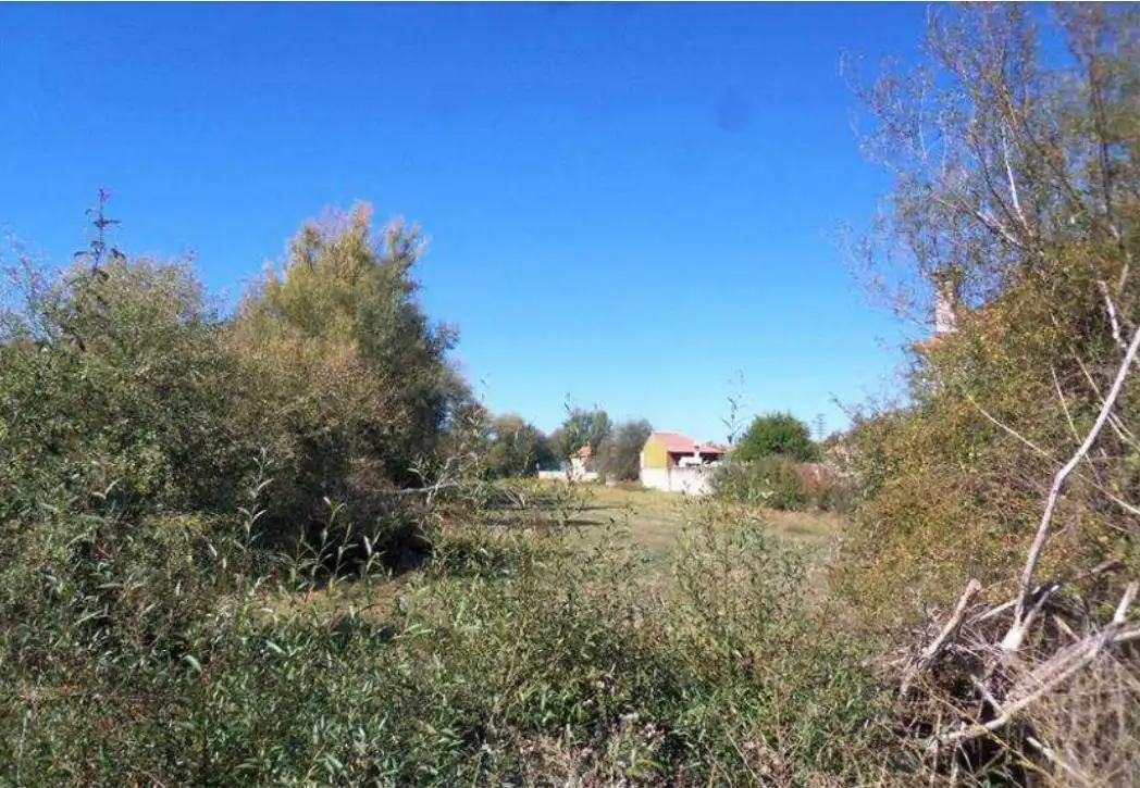 Terreni e lotti in vendita a NC08-01, imagen 3