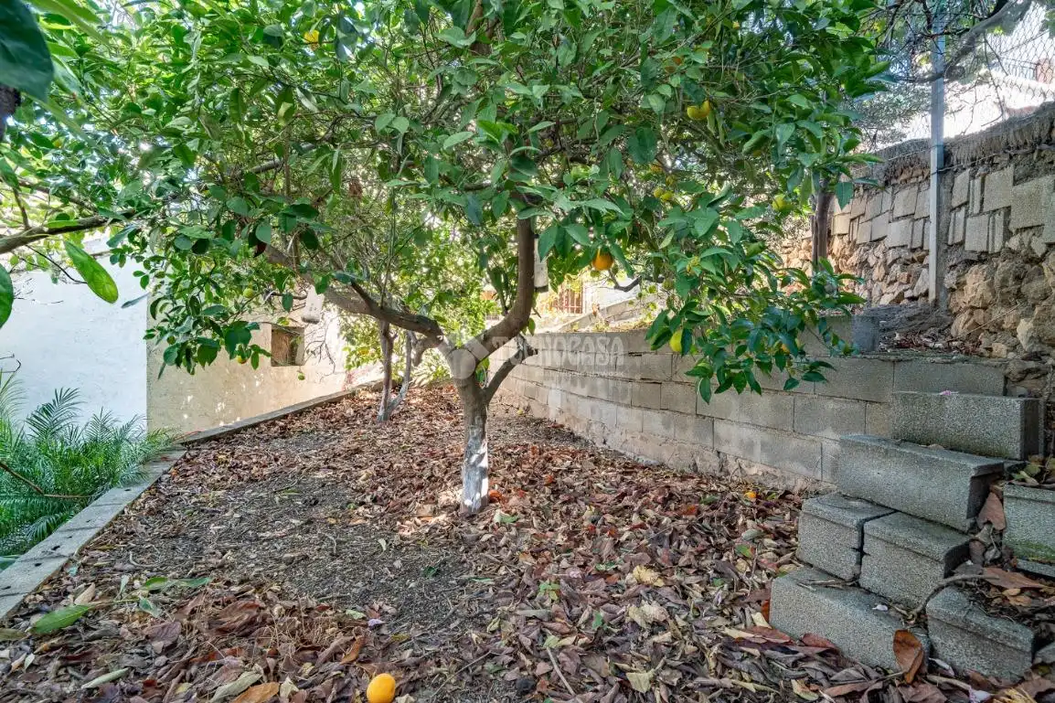 Casa amb jardí en venda a El Pinar, imagen 27