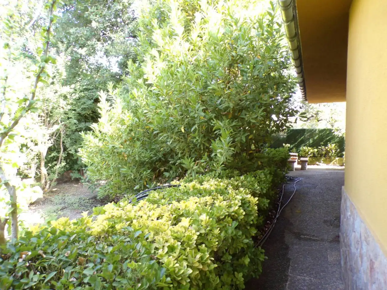 House with pool for sale in Calle sotillo 1, imagen 32