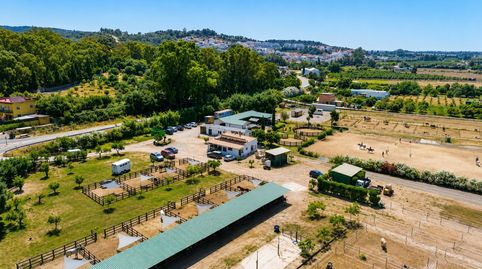 Foto 4 de Finca rústica en venta en San Roque Pueblo, San Roque