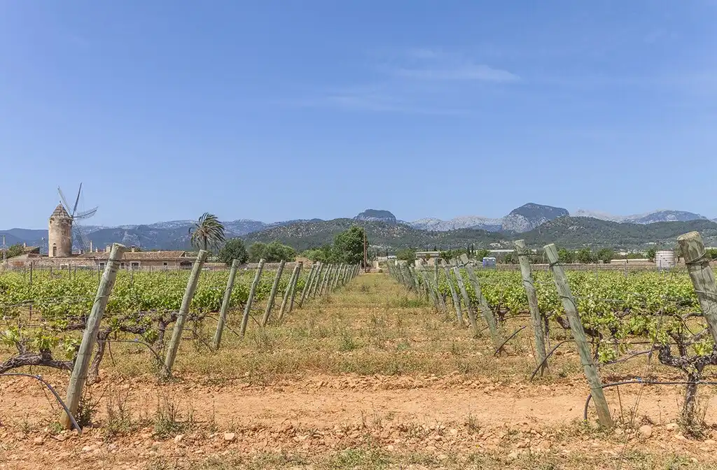 Außenansicht von Country house zum Verkauf in Consell mit Klimaanlage, Heizung und Terrasse