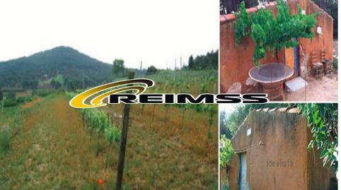 Foto 4 de Casa o chalet en venta en Mas Mora - Sant Daniel, Tordera