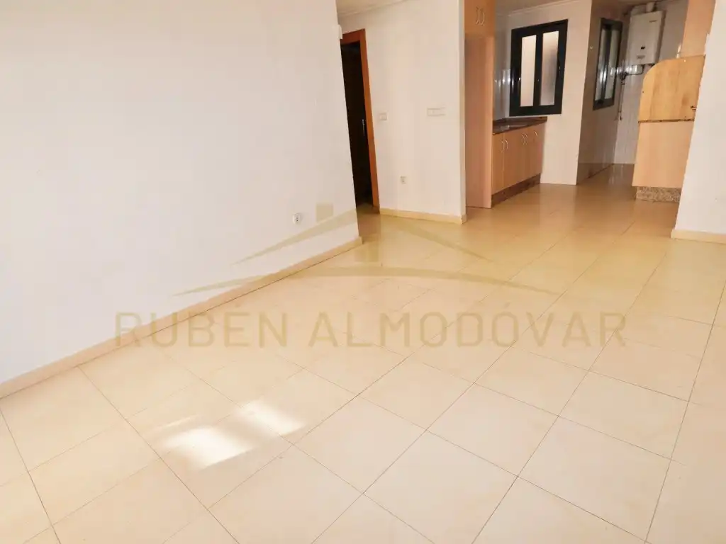 Flat with lift for sale in Paseo Calvo Sotelo 10, imagen 6