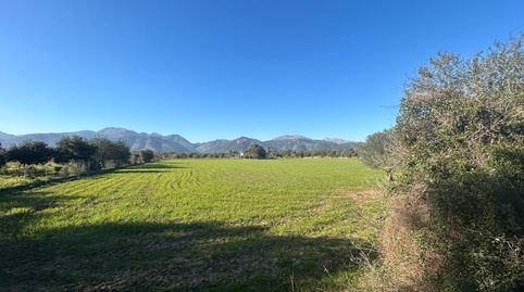 Photo 3 of Residential for sale in Selva, Illes Balears