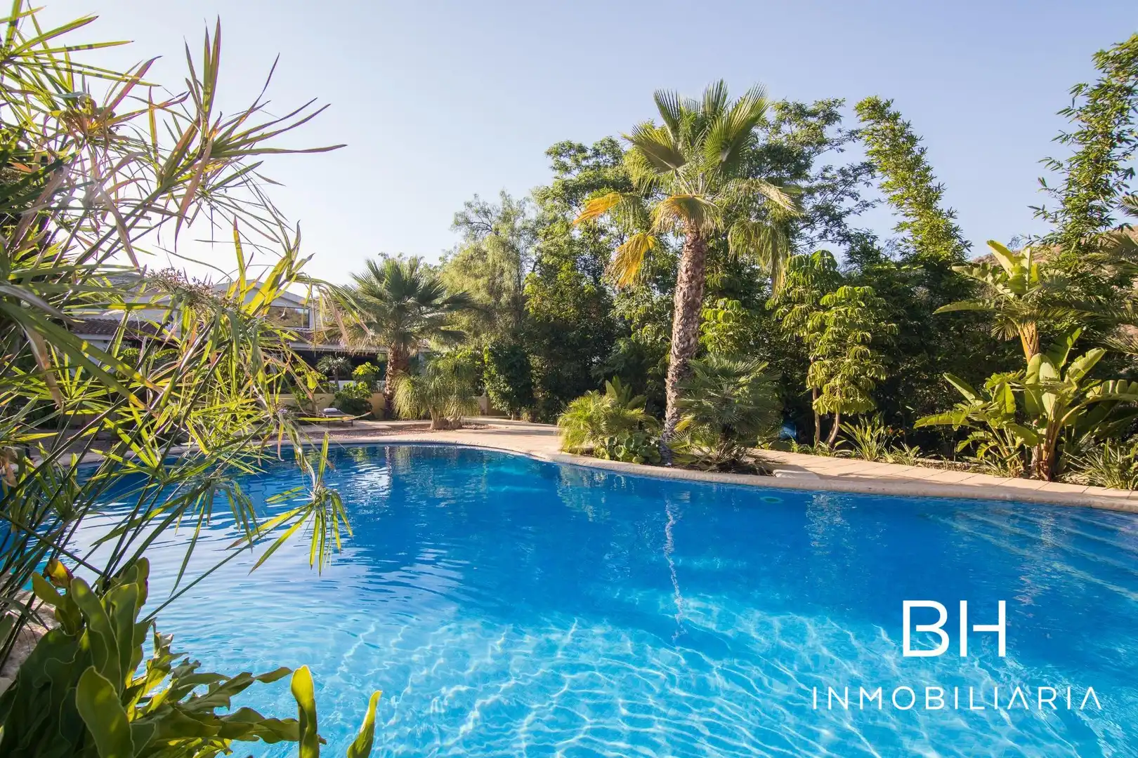 Piscina de Casa o xalet en venda en Aspe amb Aire condicionat, Calefacció i Jardí privat