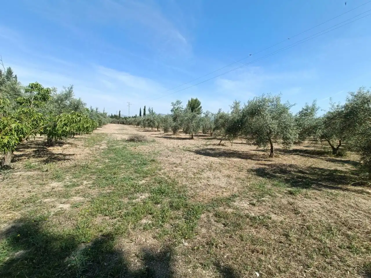 Terreni e lotti in vendita a CASERIA EL POZO LAS CARAS DE CACIN, imagen 64