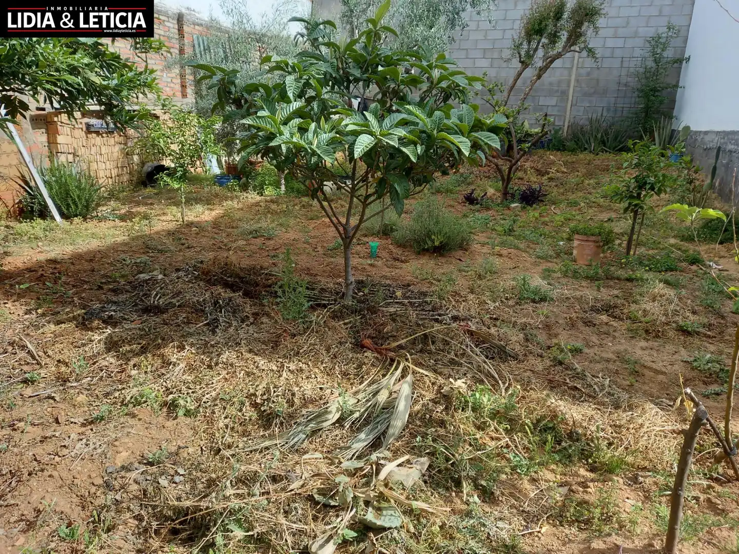 Terreny residencial en venda a Centro, imagen 2