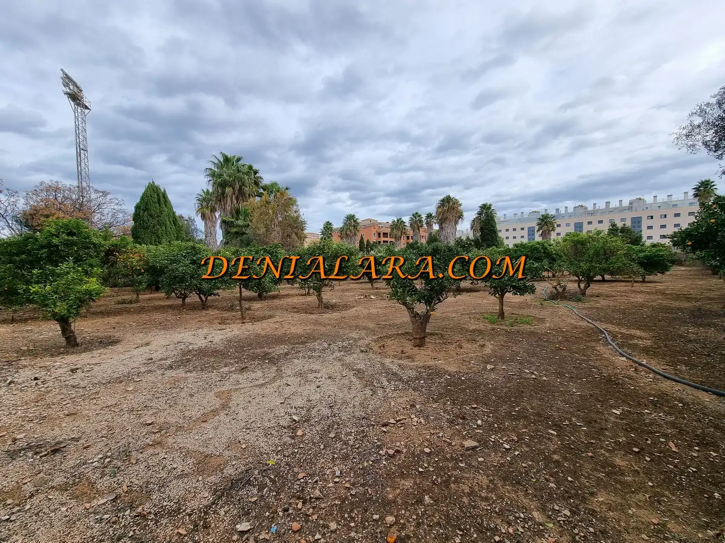 Terreno residenziale in vendita a Las Marinas / Les Marines, imagen 5
