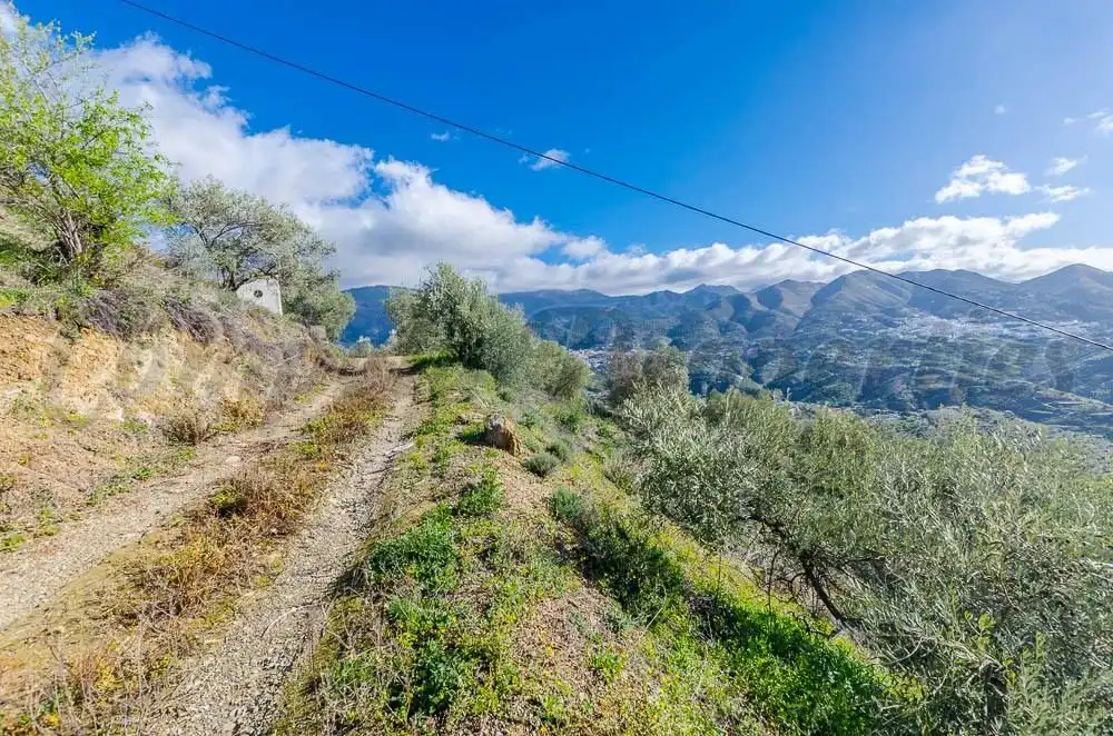 Terreno rustico in vendita a Árchez, imagen 6