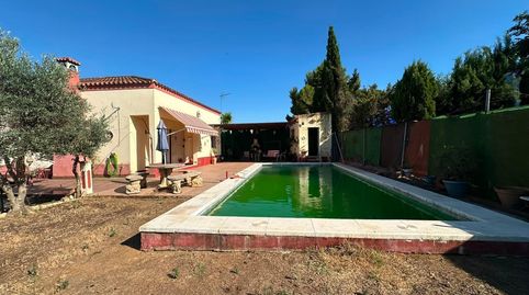 Photo 2 of Houses for sale in Diseminados, Marchena, Sevilla