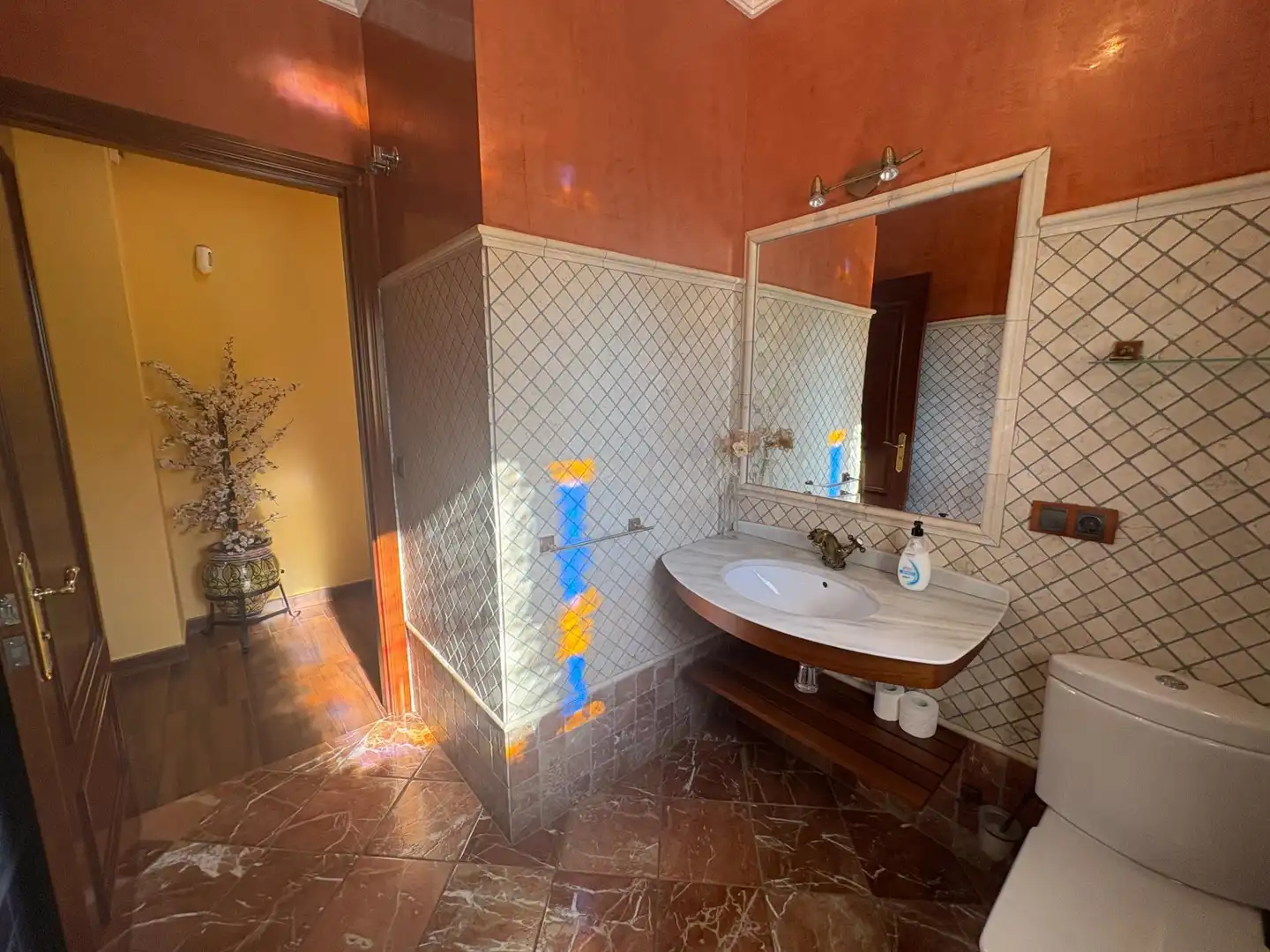 Baño de Casa o chalet en venta en Mairena del Alcor