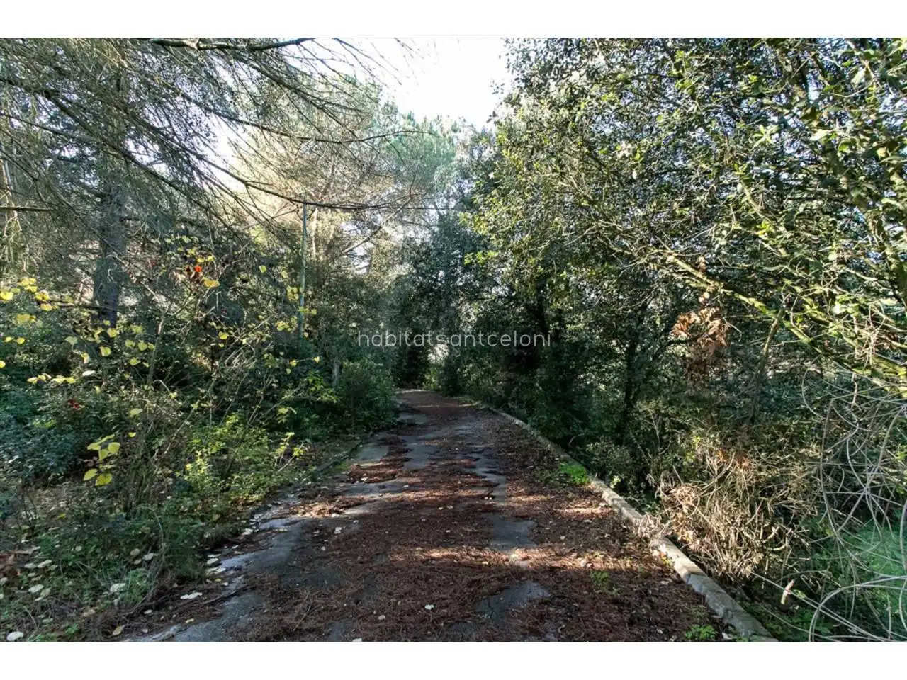 Casa amb piscina en venda a Carretera ORRIUS, imagen 18