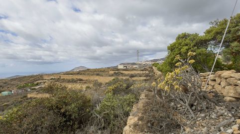 Foto 5 de Terreno en venta en C. el Pinito, 10, 10, Los Blanquitos, Granadilla de Abona