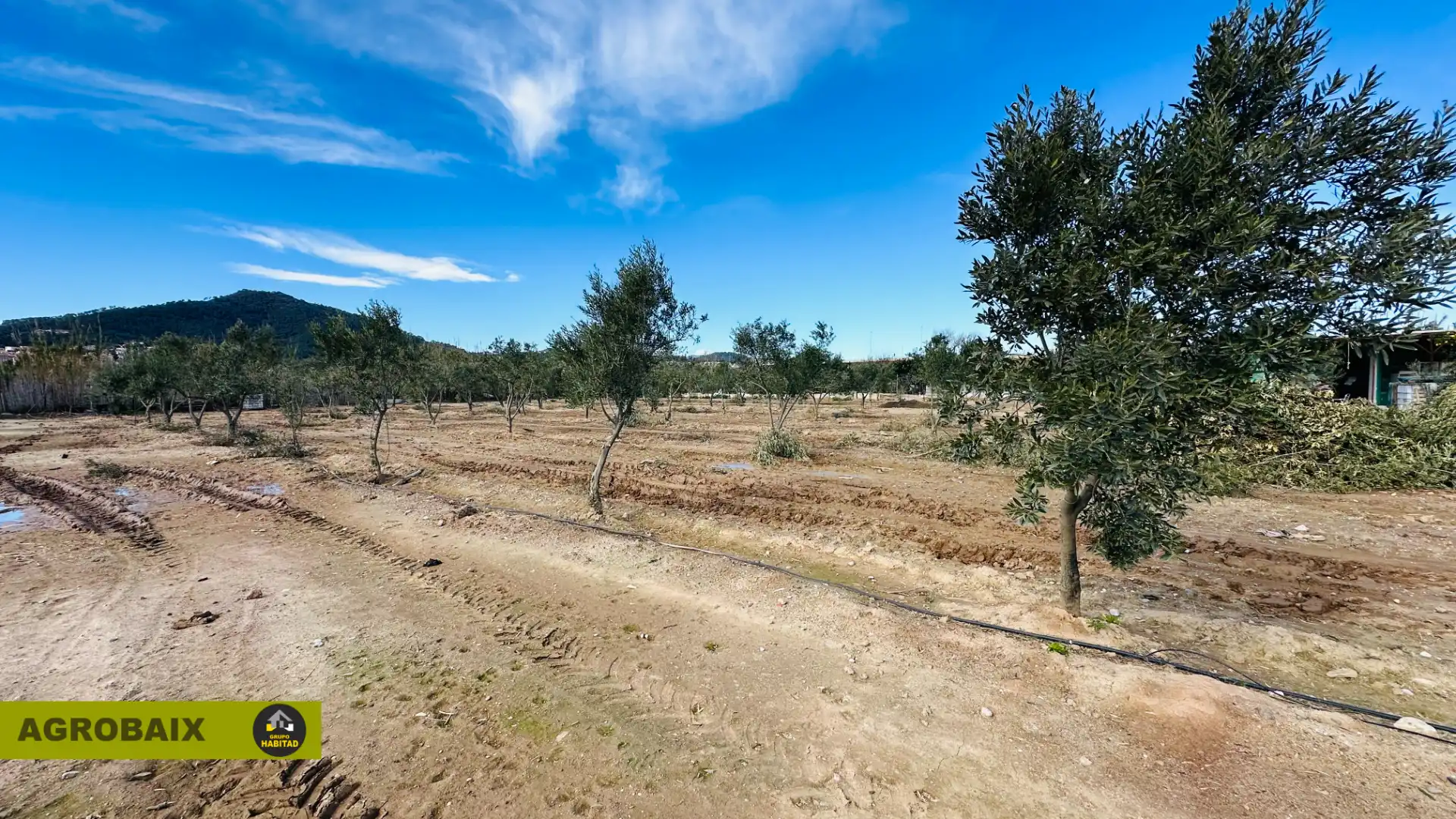 Land for sale in Sant Joan Despí