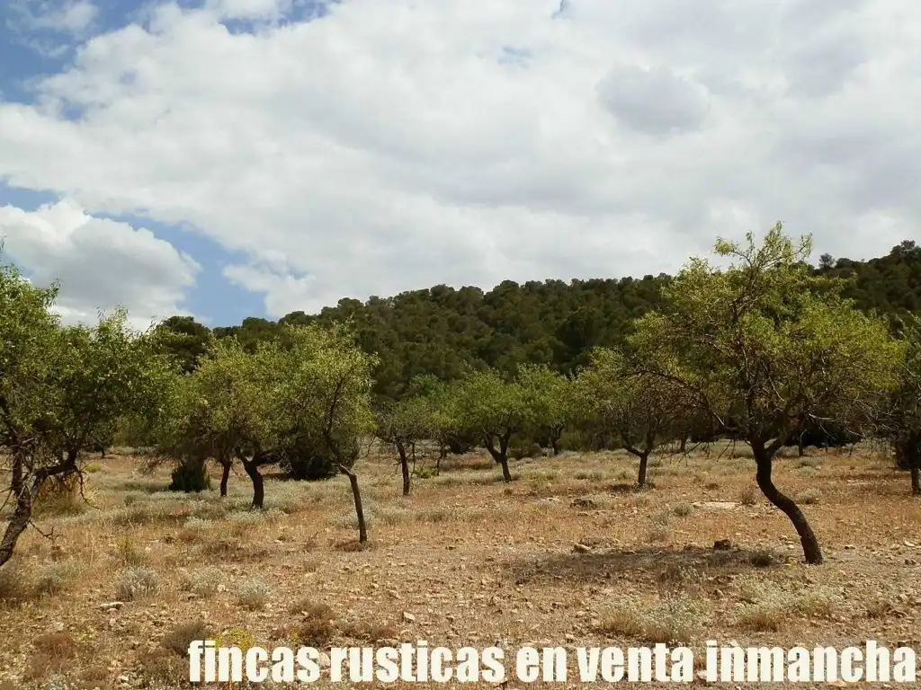 Rural land for sale in Chinchilla de Monte-Aragón, imagen 13