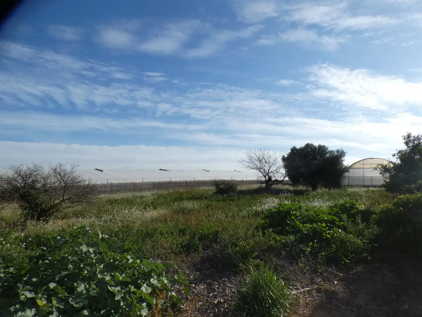 Casa rustica in vendita a El Mirador Pozo Aledo, imagen 25