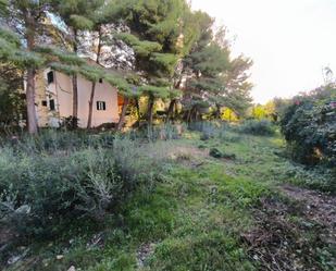 Land for sale in Alcúdia