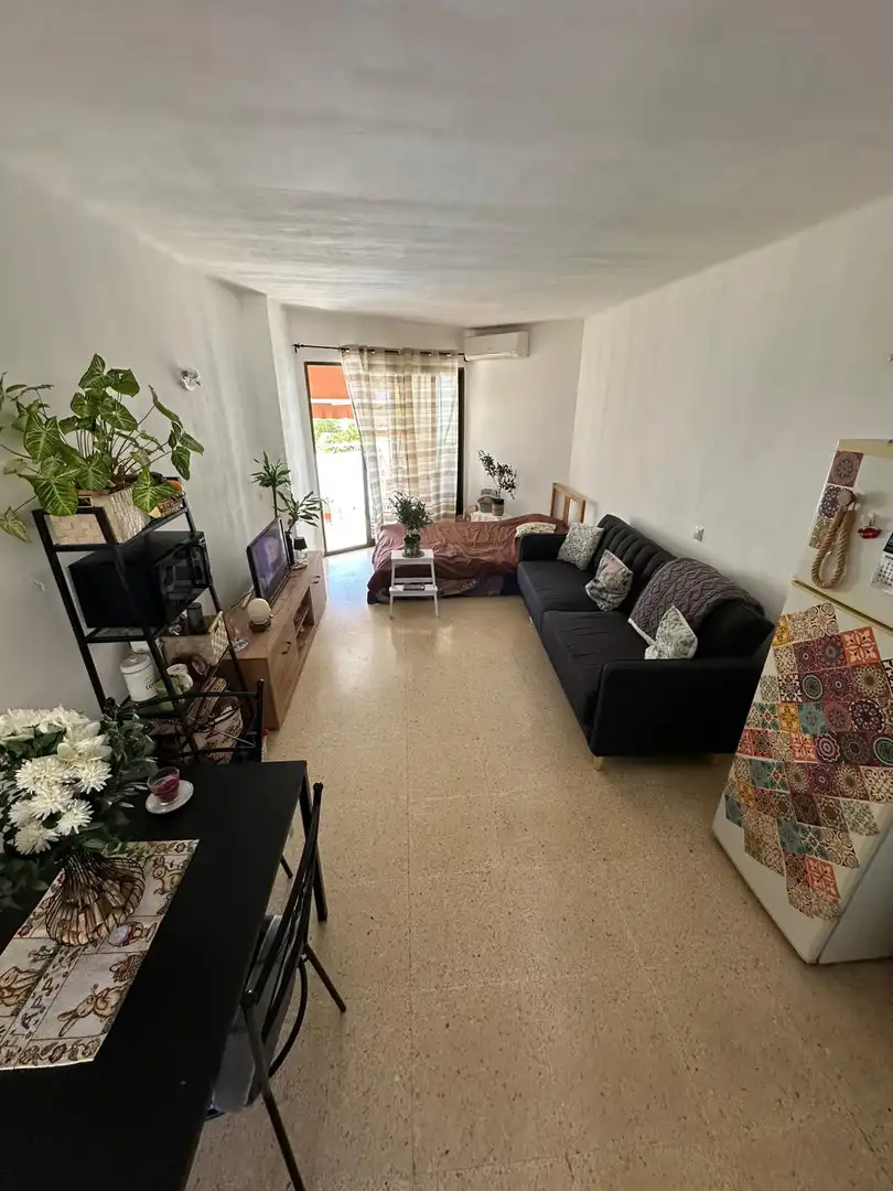 Sala d'estar de Estudi en venda en Calvià amb Aire condicionat, Terrassa i Piscina