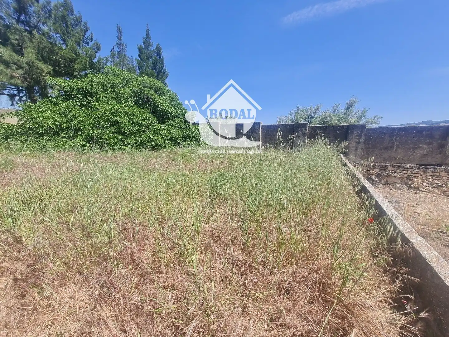 Terreno en venta en Cárcheles