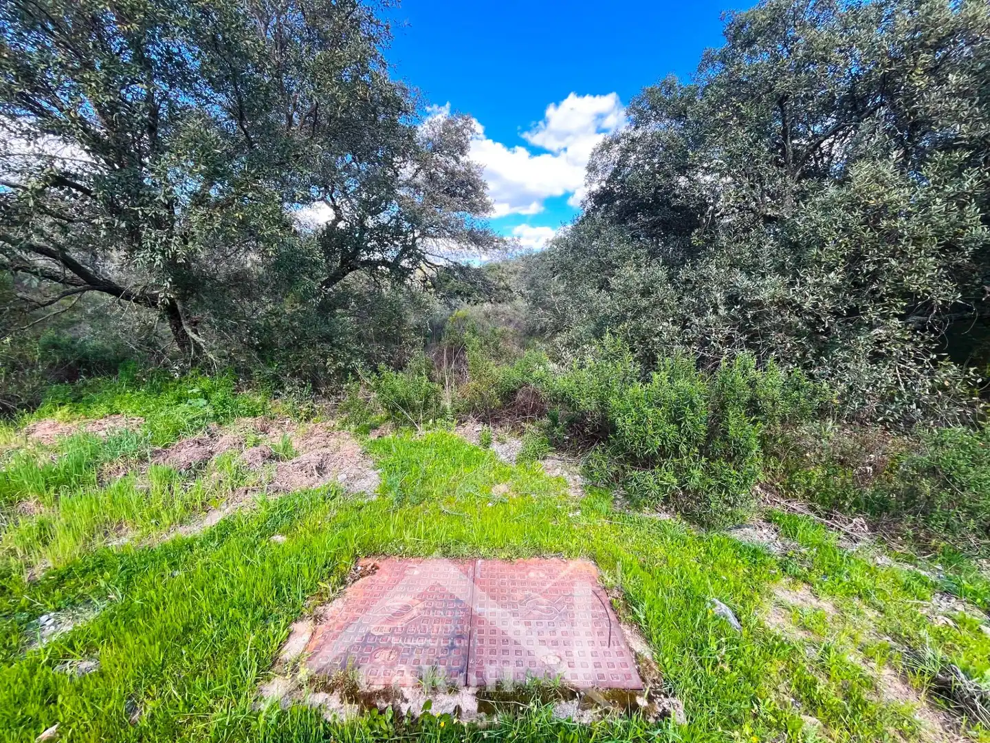 Terreni e lotti in vendita a Guillena pueblo, imagen 14