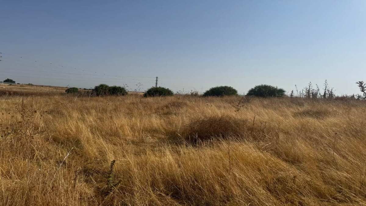 Residencial en venda en Huévar del Aljarafe