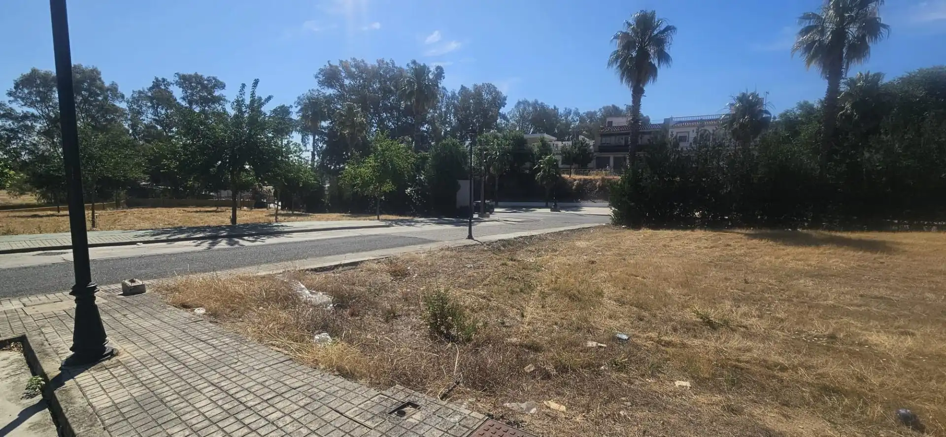 Lands and plots for sale in Guillena pueblo, imagen 3