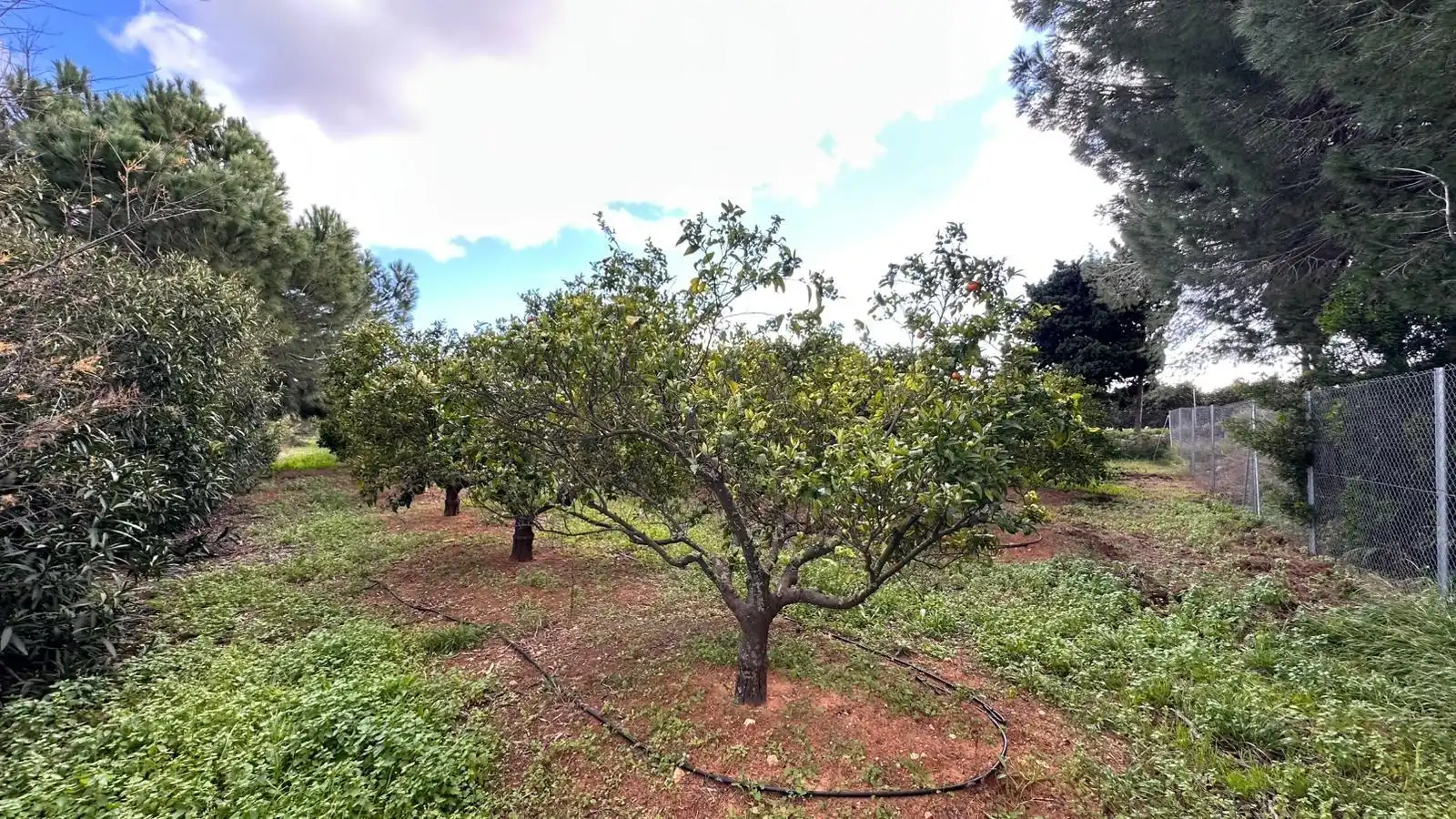 Casa o chalet en venta en Polígono POLIGONO N 7, Alfarb