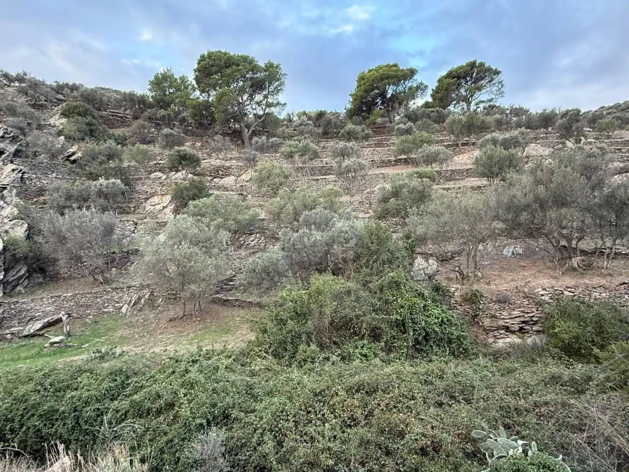 Rural land for sale in Cadaqués, imagen 14