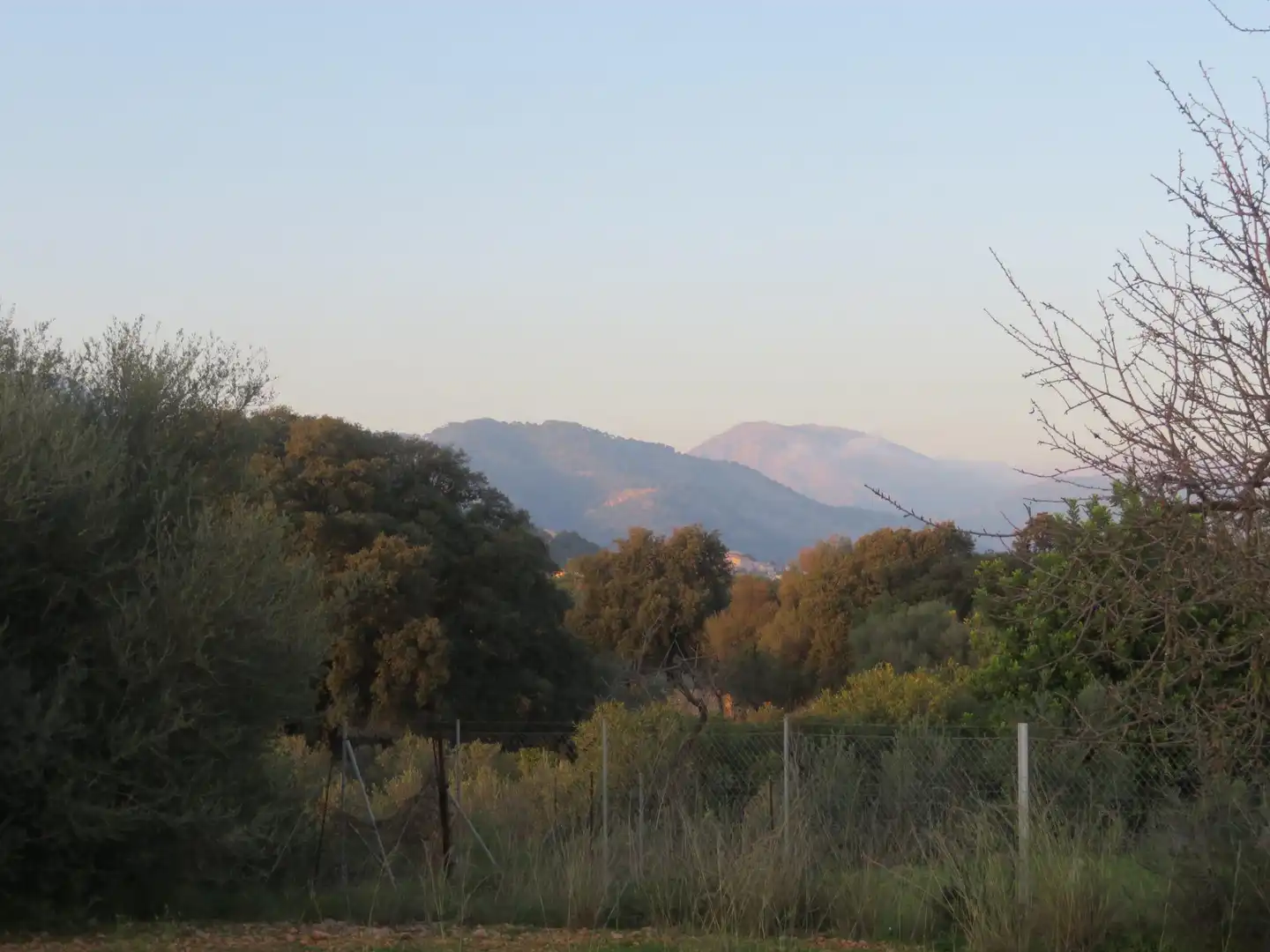 Terreny rústic en venda a Selva, imagen 4
