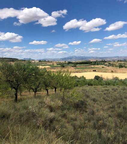Terreno en Venta en Lardero
