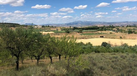 Finca regadío