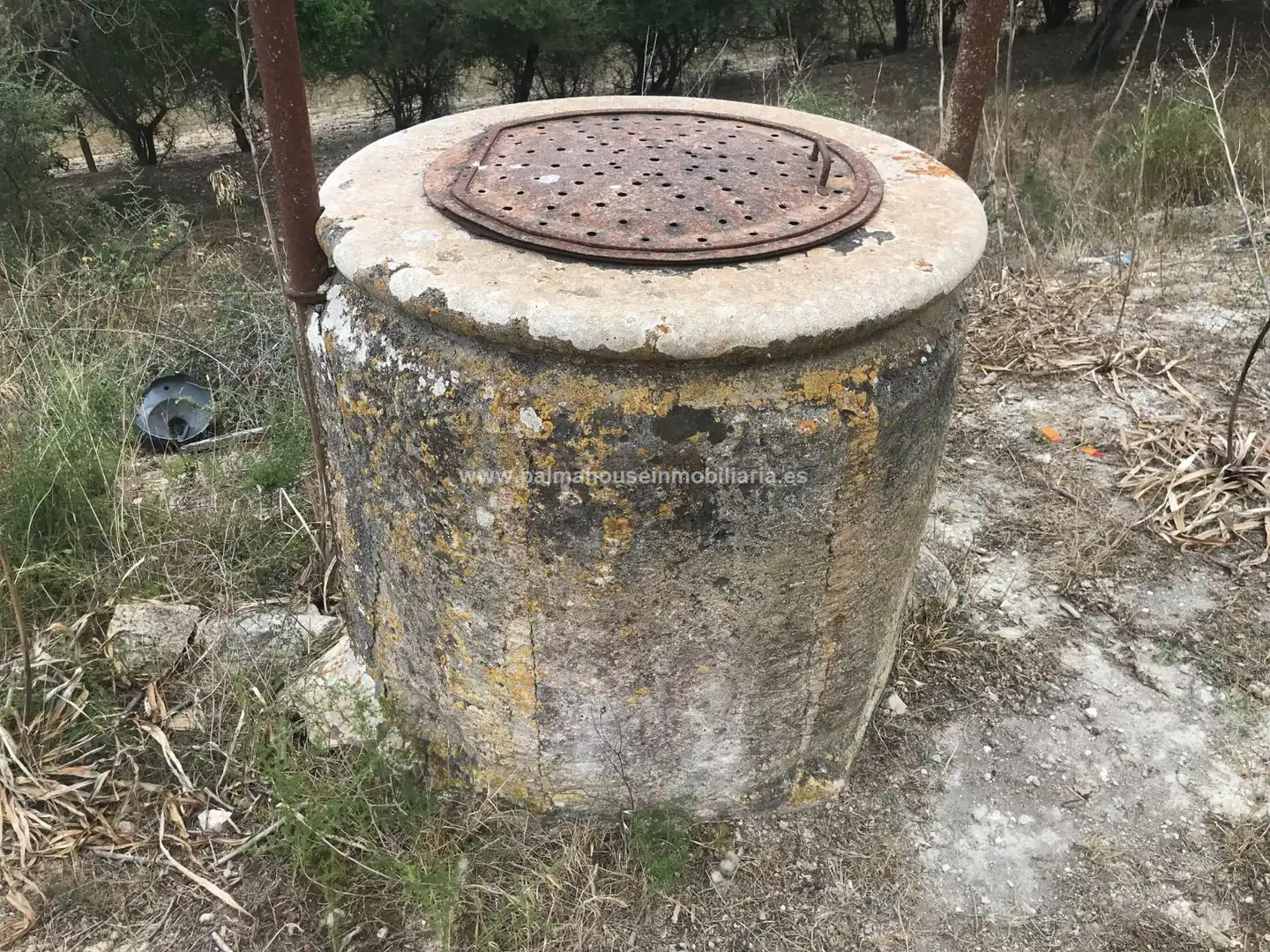 Vista exterior de Finca rústica en venta en Maria de la Salut con Calefacción y Terraza